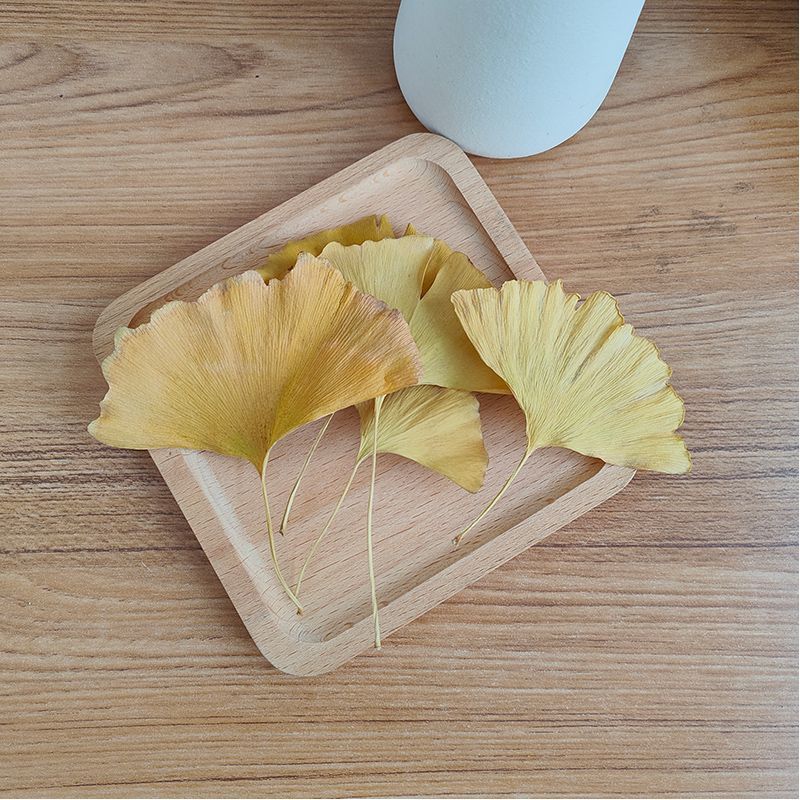 ใบแปะก๊วยแห้งธรรมชาติ สมุนไพรธ - Soap Making Home บทวิจารณ์และราคา